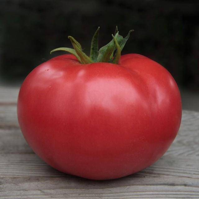 Корнабель — сладкий томат загадочной формы