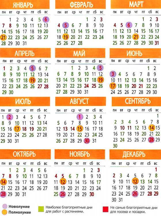 Посевной календарь садовода на январь 2021 лунный, посевных работ