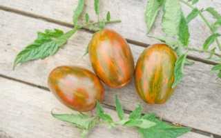 Крупноплодный сорт томата «золотой король»: описание, характеристика, посев на рассаду, подкормка, урожайность, фото, видео и самые распространенные болезни томатов