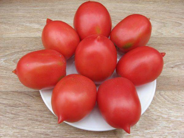 Характеристика и описание помидоров сорта Де Барао