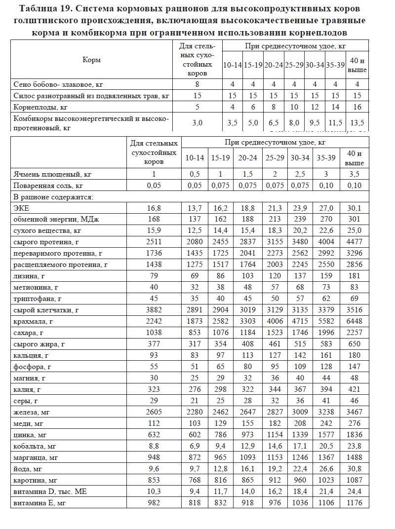 Особенности кормления сухостойных коров
