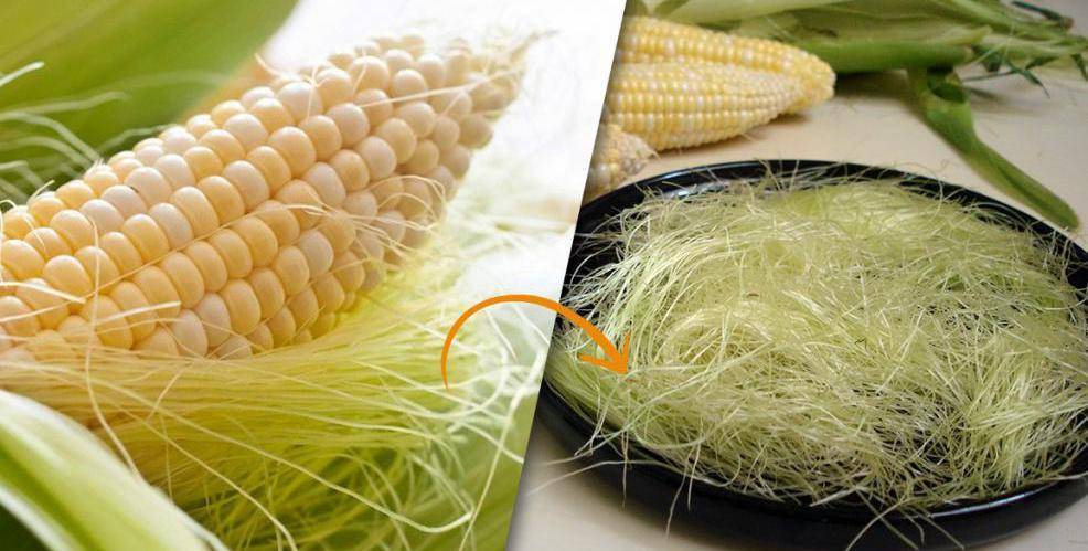 Кукурузные рыльца: лечебные свойства и инструкция по примению