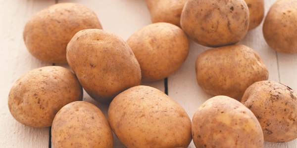 Таинственный овощ — картофель киви