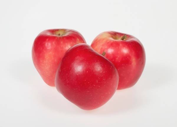 О выращивании яблони айдаред