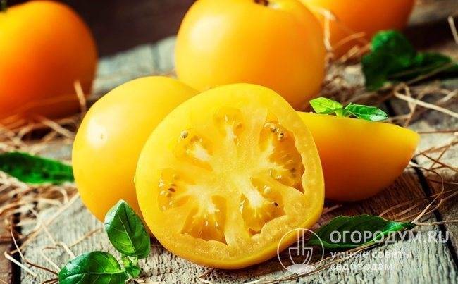 Описание сорта томата катюша f1 — отзывы овощеводов