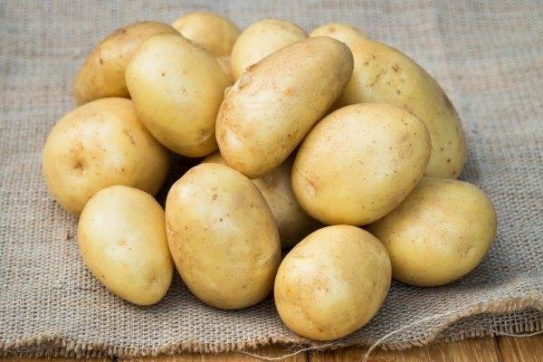 Германский сорт картофеля зекура для центральной россии