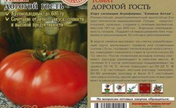 Описание сорта томата Министр, его характеристика и урожайность