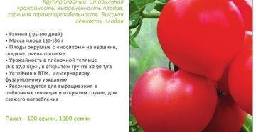 Характеристика и описание сорта томата ирина, его урожайность