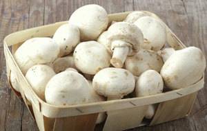 Как правильно замораживать грибы