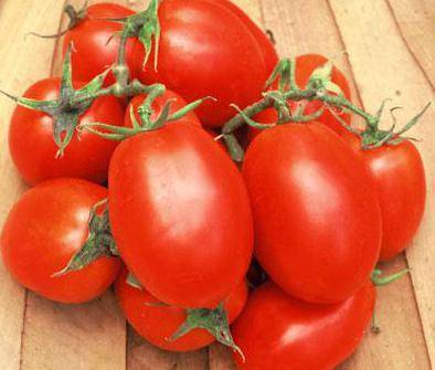 Рома — томат-американец, идеальный для консервации