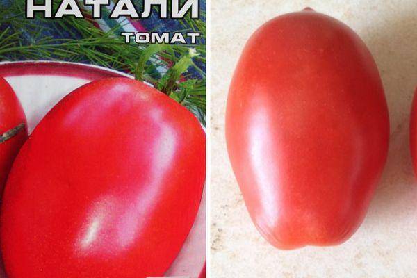 Томат «красная гроздь»: красивый, вкусный и урожайный