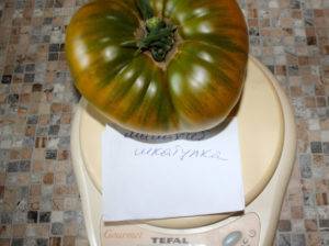 Характеристика и описание сорта томата Малахитовая шкатулка, его урожайность