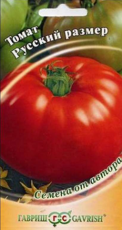 Красивый и вкусный томат «русский богатырь»: описание сорта, особенности выращивания, применение помидоров