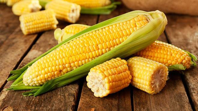 Вред и польза кукурузы