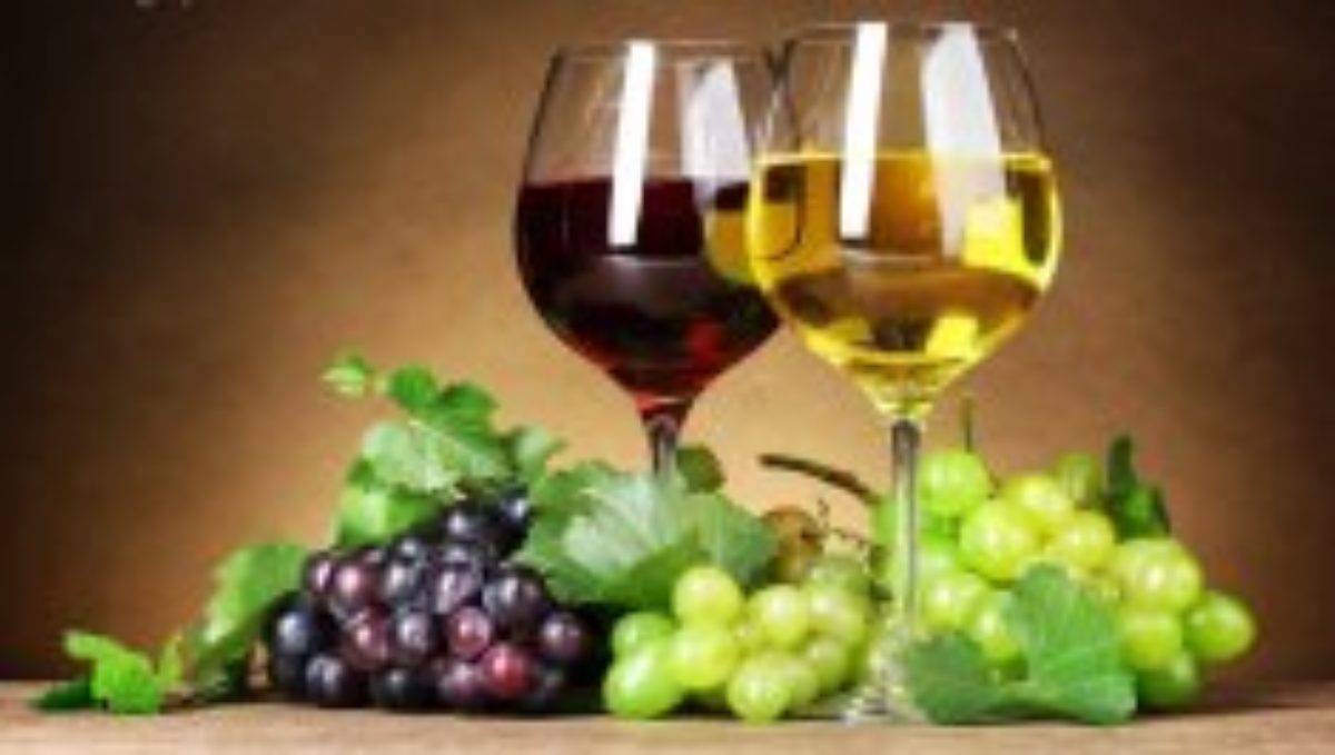 Вино из винограда сорта лидия: как сделать в домашних условиях