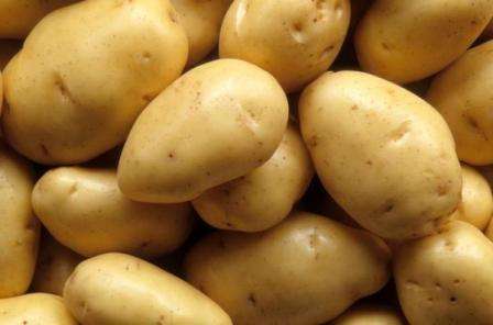 Сорт картофеля невский характеристика