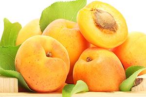 Об абрикосе восторг: описание и характеристики сорта, посадка, уход, выращивание