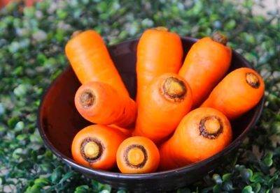 Применение солярки при выращивании моркови