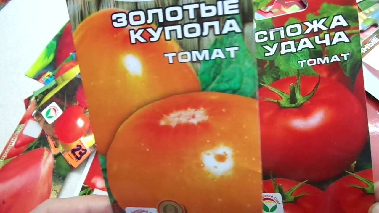 Как выращивать высокоурожайный томат. все о русских куполах: полное описание и советы агрономов