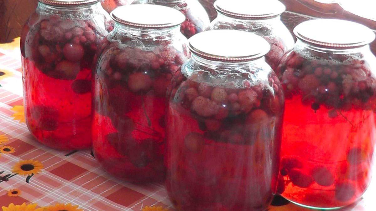 Компот из вишни на зиму на 3 литровую банку — простые рецепты вишневого компота
