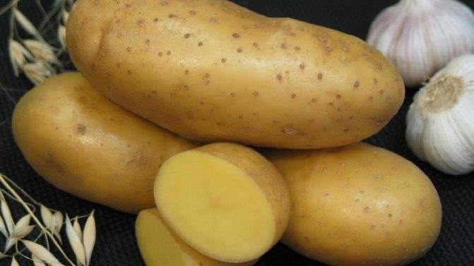 Картофель наташа