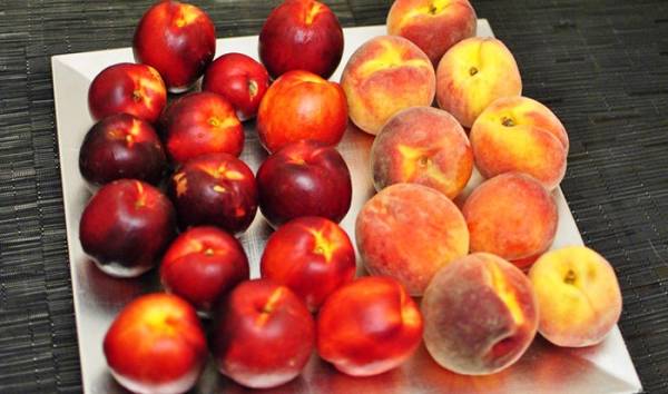 Персик — выращивание и уход
