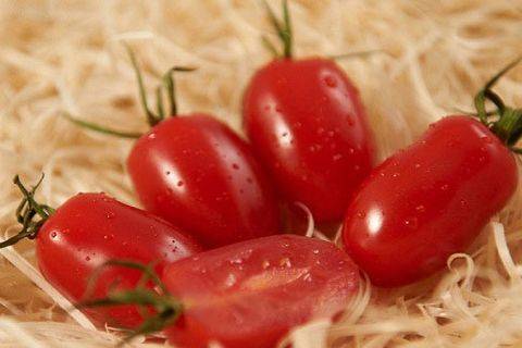 Преимущества томатов дамские пальчики и советы по выращиванию