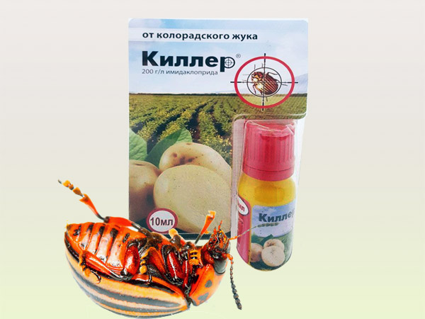 Отрава жукоед от колорадского жука: инструкция по применению, отзывы