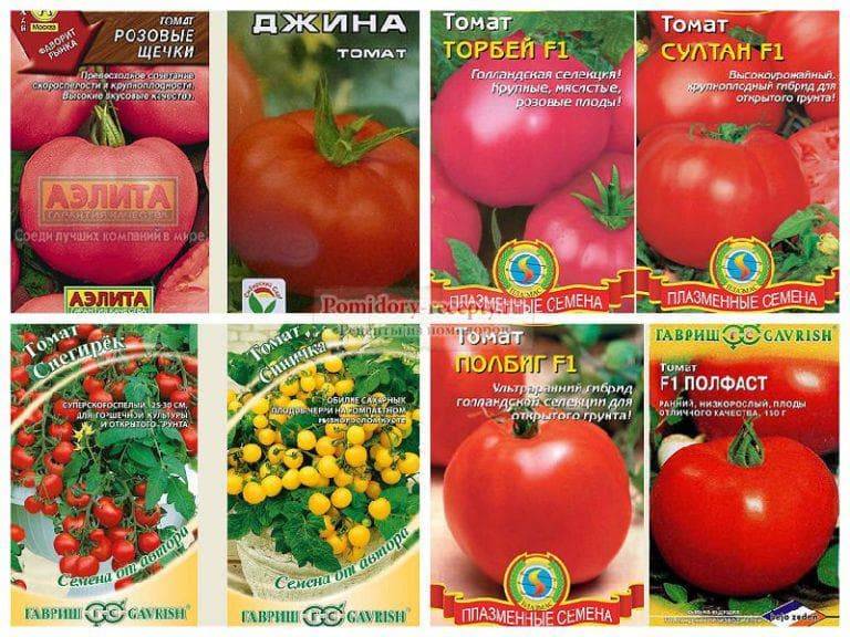 Высокорослые помидоры для теплицы: 15 самых урожайных сортов