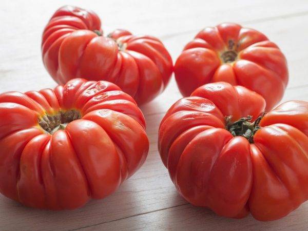 Американские ребристые томаты характеристика и описание сортов