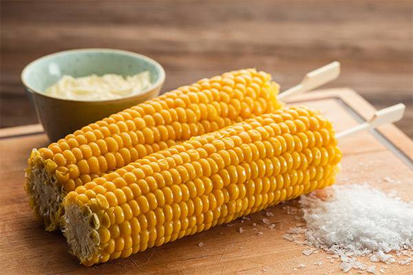 Кукуруза — польза и вред для здоровья