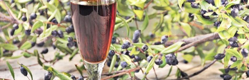 11 простых рецептов, как сделать вино из ирги в домашних условиях