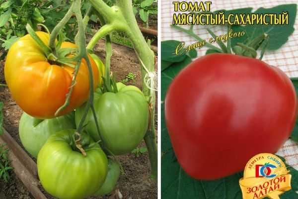 «малиновое чудо» на грядке: обзор популярной серии гибридных томатов