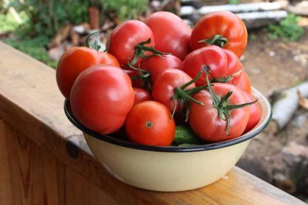 Характеристика и описание сорта томата бабушкино лукошко, его урожайность