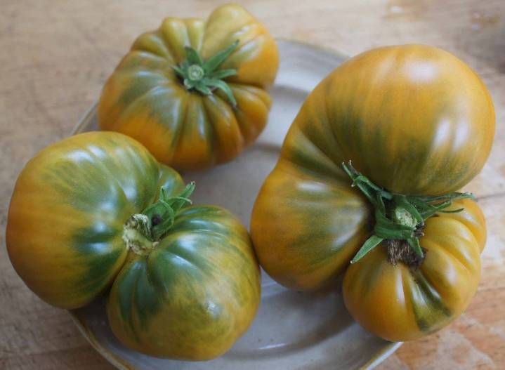 О томате эффект: описание сорта, характеристики помидоров, посев