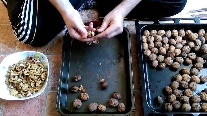 Как чистить грецкие орехи