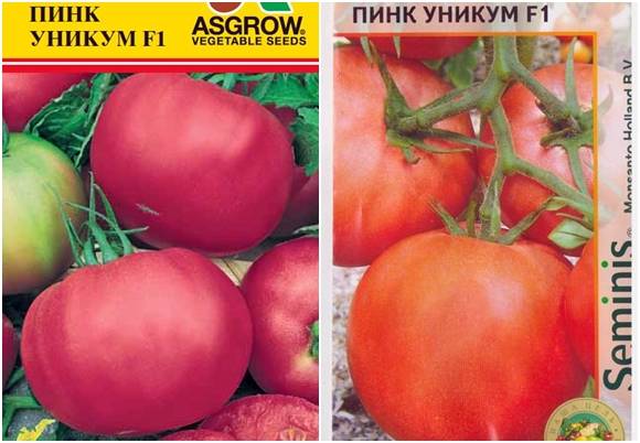 Гибрид томата «пинк импрешн f1»: фото, отзывы, описание, характеристика, урожайность