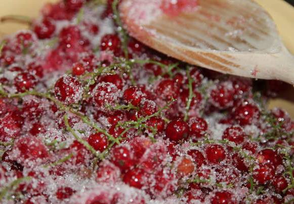 Варенье из красной смородины на зиму — простые рецепты приготовления