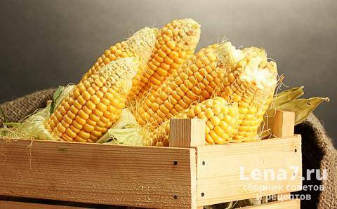 Как правильно хранить кукурузу в початках в домашних условиях на зиму