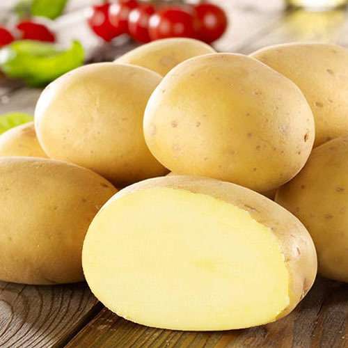 Картофель удача: 8 особенностей и 10 советов по выращиванию и хранению