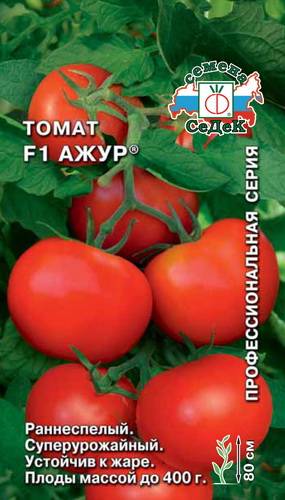Урожайный томат «ажур»: характеристика и описание сорта