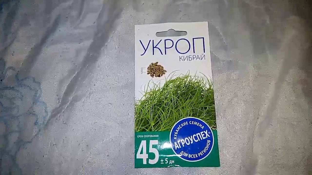 Укроп: выращивание на подоконнике и в открытом грунте