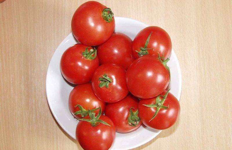 Описание сорта томата лев толстой, особенности агротехники