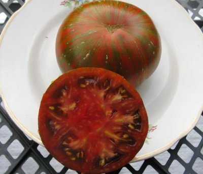 Вкусный, неприхотливый, красивый сорт томата «шоколадный»