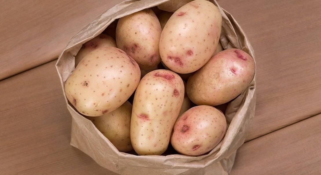 Сорт картофеля синеглазка: характеристика и описание, отзывы, фото