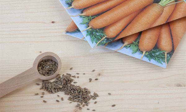 Как сажать морковь, чтобы семена обойтись без прореживания и особого ухода?