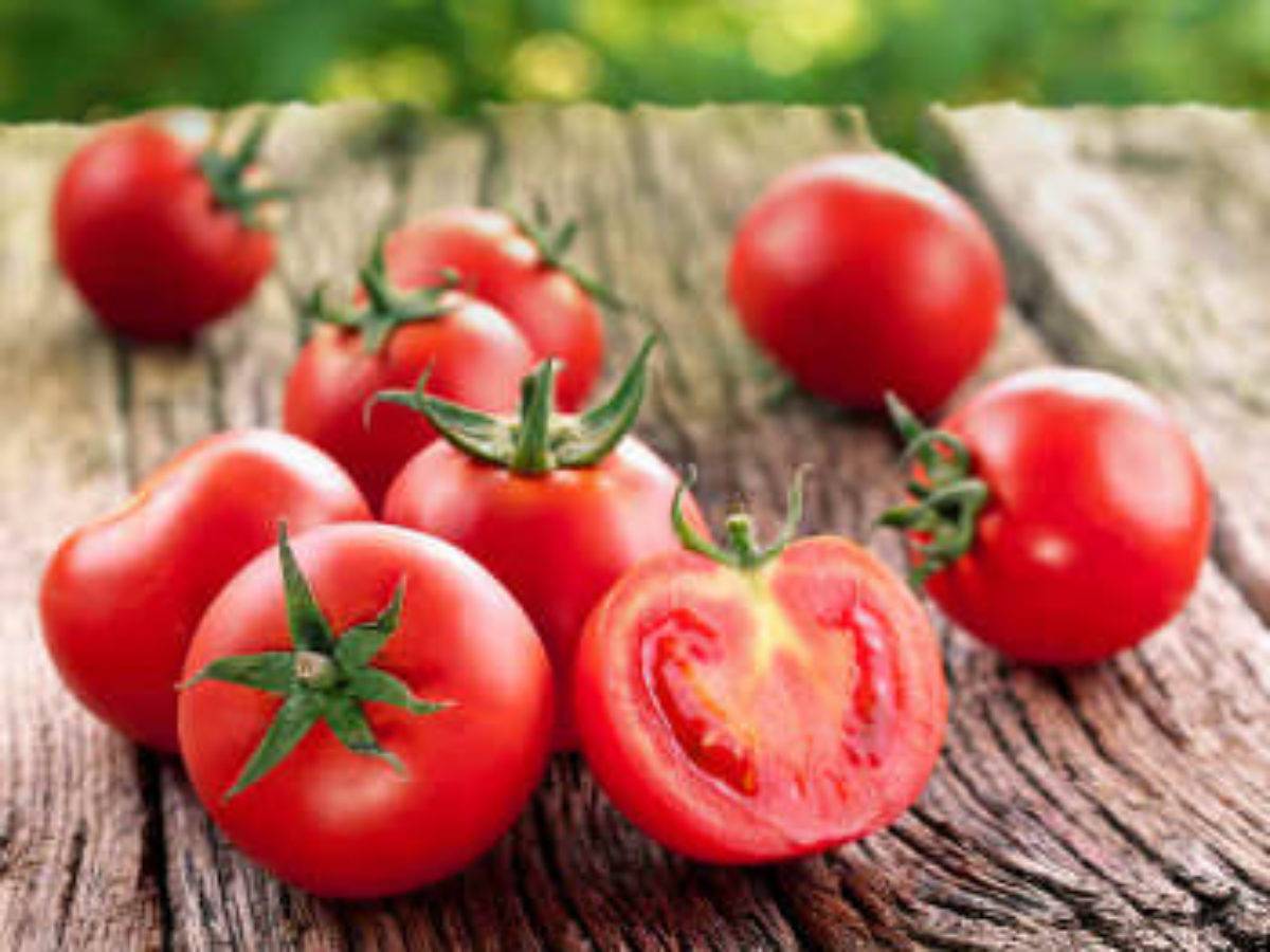 Томат «яблонька россии», описание сорта и характеристика урожайности помидора (фото)