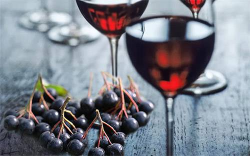 7 простых пошаговых рецептов приготовления вина из черноплодки в домашних условиях