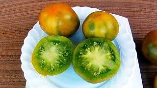Сорт с экзотическим вкусом и удивительным внешним видом — томат «ирландский ликер»: выращиваем и удивляем соседей