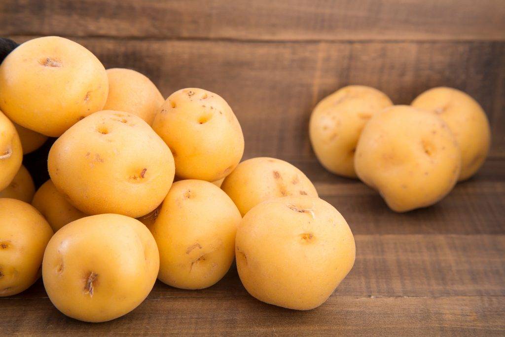 Описание сорта картофеля Гулливер, особенности выращивание и урожайность